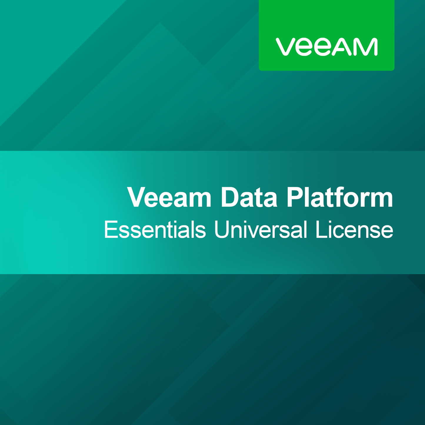 Fondamenti della Piattaforma Dati Veeam