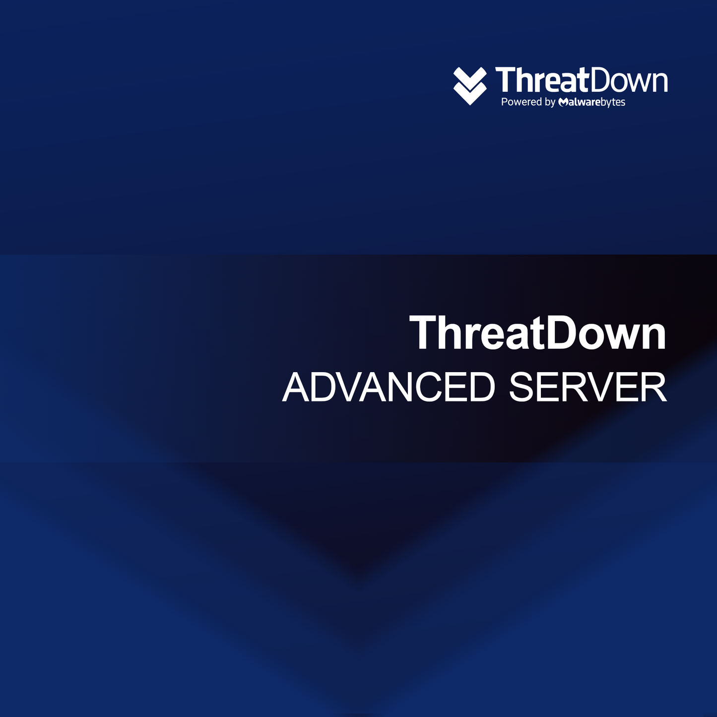 ThreatDown SERVER AVANZATO