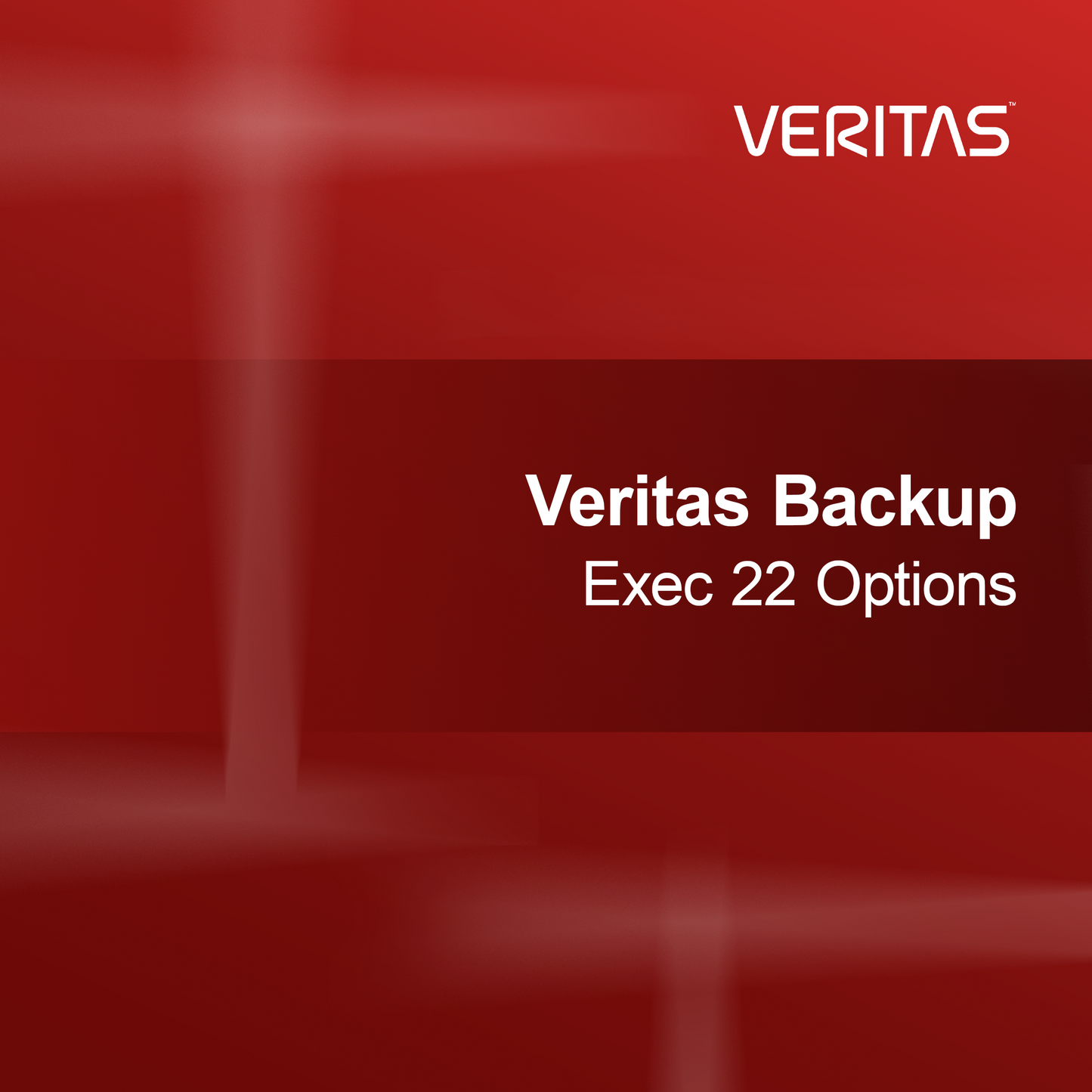 Opzioni Veritas Backup Exec 22